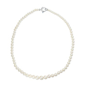 Collana di Perle con Chiusura Crivelli